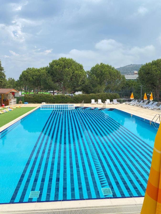 Palm Club Apart Otel Kuşadası Ngoại thất bức ảnh
